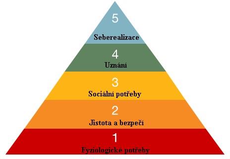 Tyto potřeby jsou při neuspokojení dominantní vůči ostatním výše poloţeným potřebám a zahrnují potřebu jíst, pít, dýchat, vyměšovat a navíc mezi tyto fyziologické potřeby můţe být zahrnuta i potřeba