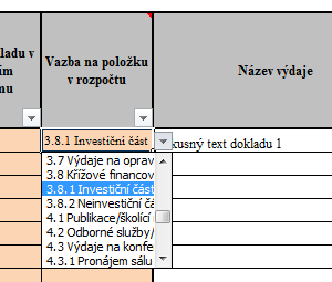 Rozpis ostatních výdajů Postup vyplňování jednotlivých rozpisů je shodný s postupem uvedeným v předchozím kroku. 1.