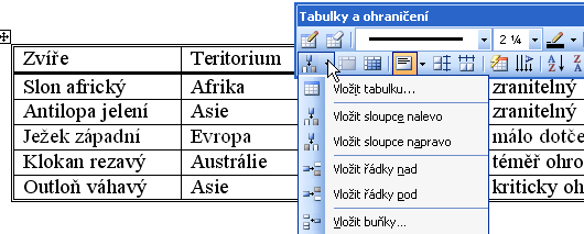 Vložení řádku tabulky Panel Tabulky a ohraničení: Kurzor přesuneme do správného řádku.