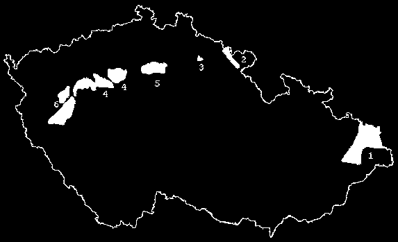 Černé uhlí ložiska v ČR 9/71 většina zásob vyčerpána zbylé v 1-1,3 km zásobárna pitné vody pro SČ kraj 70 % v Polsku 30 % v Česku dobývání z 1000 m postupná uzavírka 1.