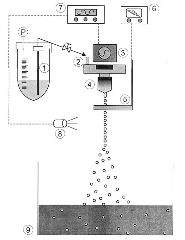 Obrázek 5: Proces gelovatění alginátu pomocí vápenatých iontů [2] Obrázek 6: Schéma enkapsulačního procesu [2] (P) regulace tlaku vzduchu () tlaková láhev (2) pulzační komora (3) vibrační systém ()
