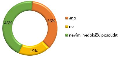 6.4 Bonusové otázky V průběhu dotazníku respondenti odpovídali i na bonusové otázky, které ačkoliv byly nepovinné a navíc většinou i otevřené, odpověděla na ně většina z nich.