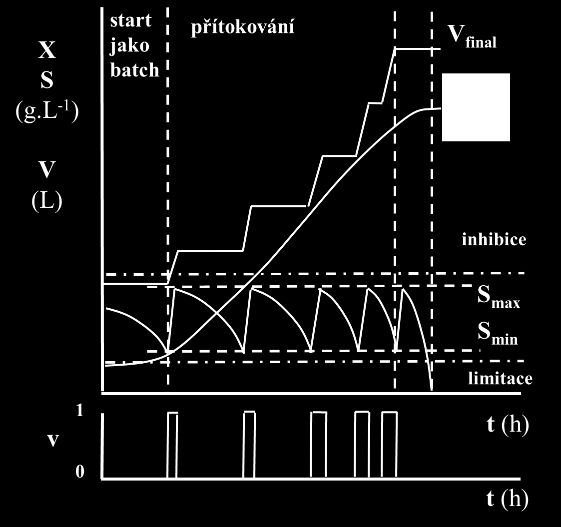 Proměnná rychlost přítokování média Proměnná rychlost přítokování média se vyznačuje: přítokování média se během kultivace mění podle požadavků mikroorganismů (regulovaný kontinuální nebo