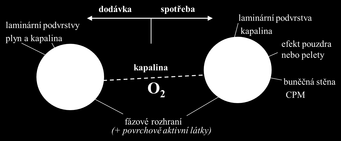 Bubliny se podle velikosti dělí na: malé bubliny D b 0,5 mm o dlouhá doba zdržení o malý objem o rigidní povrch o velké mezifázové rozhraní střední bubliny D b 0,5-6 mm o nejlepší pro přestup hmoty -