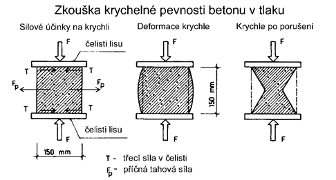 mačkají se po 28 dnech ve vlhku 2.