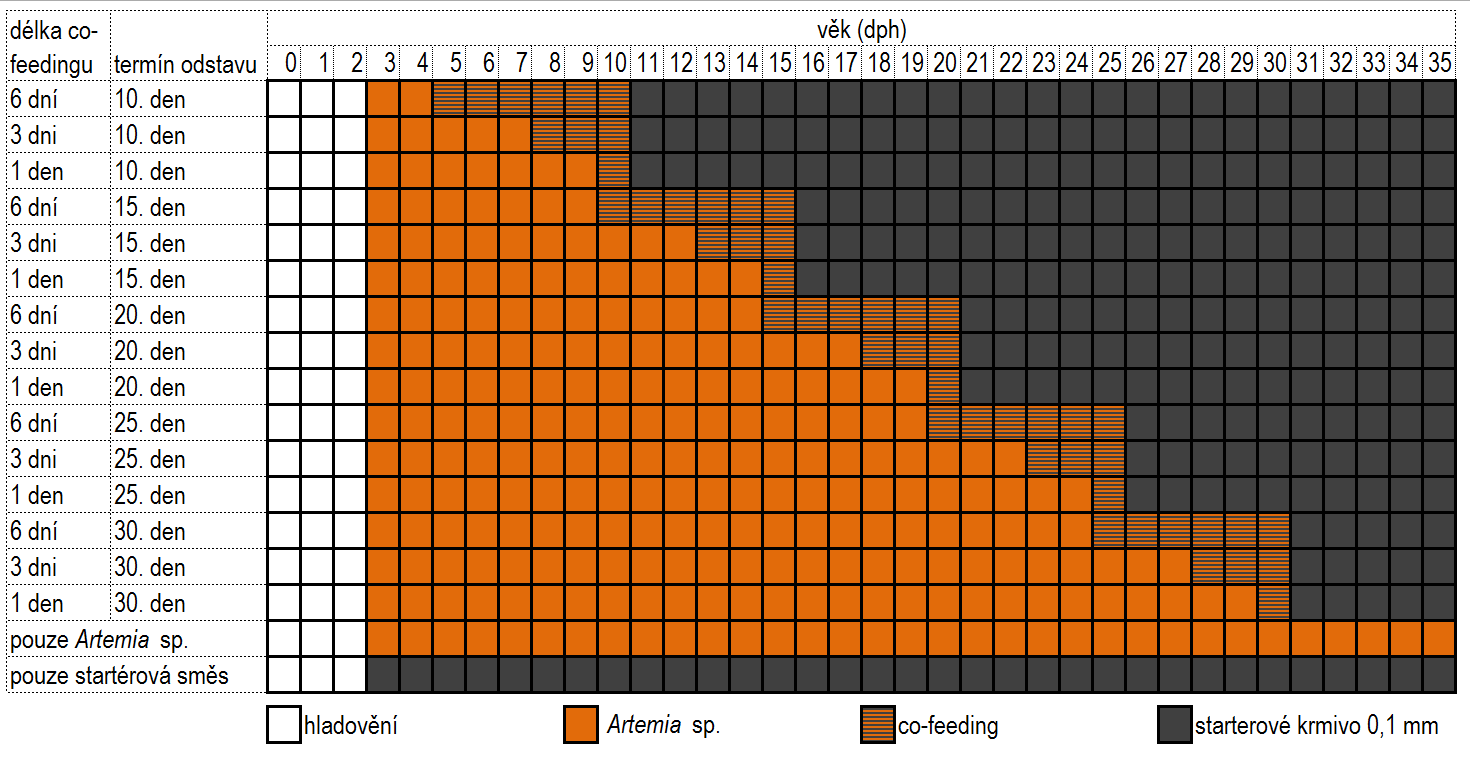 Obr. 1. Testované strategie převodu larev síha peledě na startérové krmivo.