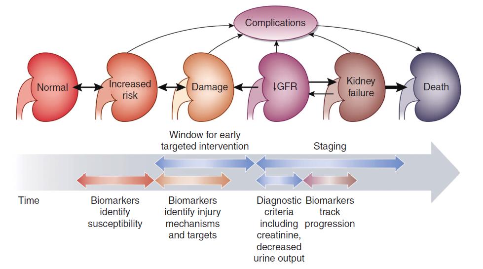 Nová kritéria pro diagnostiku AKI rostoucí role biomarkerů