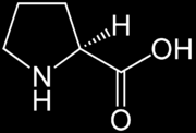 UTB ve Zlíně, Fakulta technologická 22 2.2.1 Biologický význam kolagenních aminokyselin Glycin (Obrázek 3) je pro organismus inhibičním neuromediátorem a antistresovým faktorem.