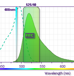 Správný filtr Bandpass filter % získaných fotonů z emise záření 530/30 47,0 530/40 60,4 525/50 71,3 Images