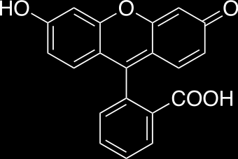 Vhodný laser Fluorescein: