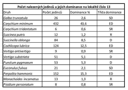 5 Praktická část - 36 - Lokalita 13 Na této lokalitě bylo nalezeno 13 druhů