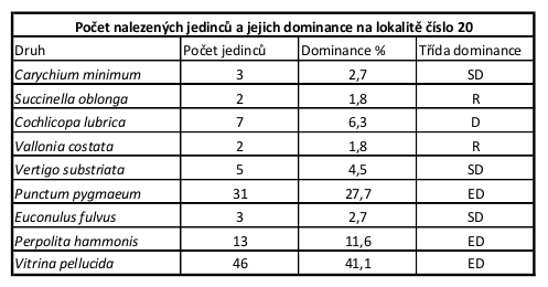 5 Praktická část - 39 - Lokalita 19 Na této lokalitě bylo nalezeno 8 druhů, o celkovém počtu 204 jedinců. Tab.