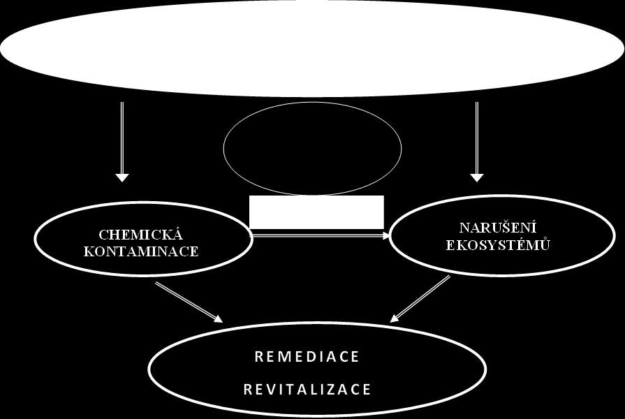 (bioavailabilita), vyluhovatelnost vodou či kyselými dešti, apod.