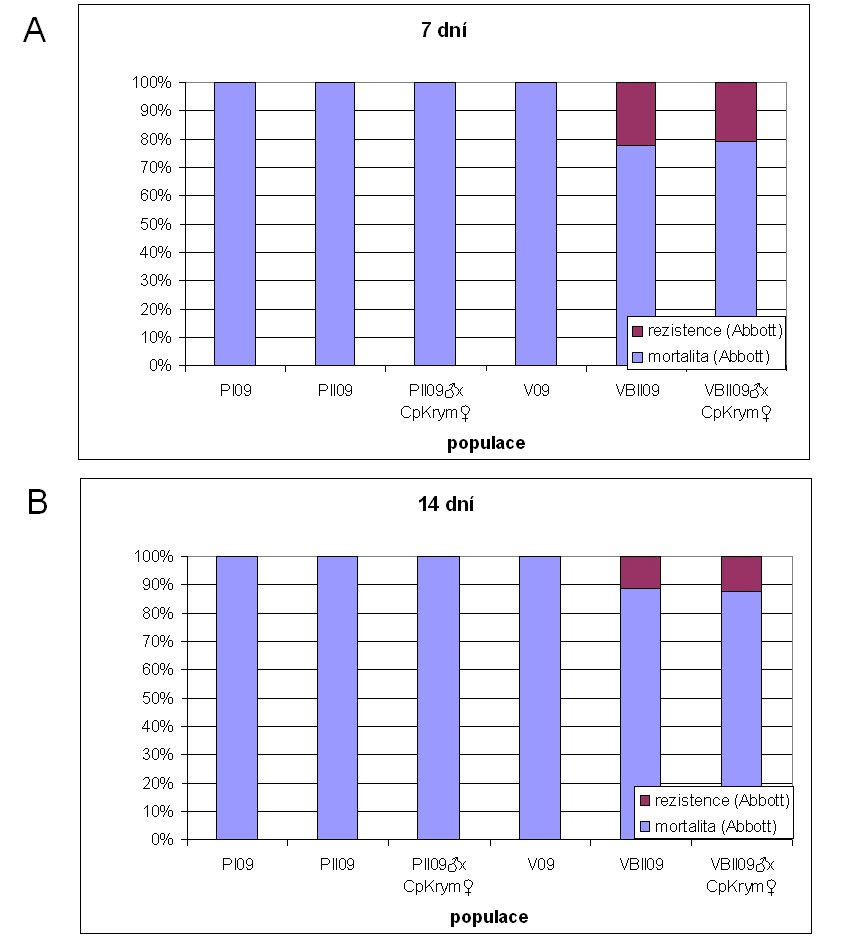 Obrázek 5.5: Grafické znázornění celkového podílu citlivých a rezistentních jedinců u hodnocených populací. A) po 7 dnech B) po 14 dnech v roce 2009.