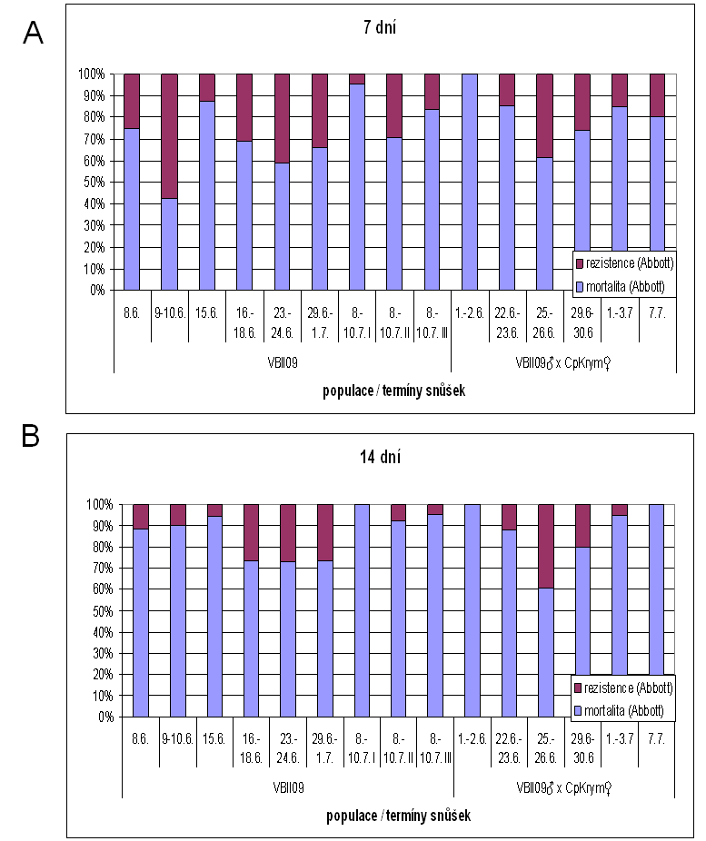 Obrázek 5.6: Přehled mortality u potomstva VBII09 a VBII09 xcpkrym z různých snůšek vajíček v roce 2009. A) po 7 dnech; B) po 14 dnech při koncentraci 3x10 5 OB/ml.