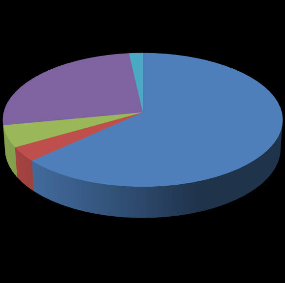 Graf 24: Reakce na cizího volně pobíhajícího psa CELKEM 26% 2% povolit vodítko a nechat psy očichat snažit se odehnat cizího psa 4% 5% 63% pustit svého psa z vodítka vodítko napnuté a nechat psy