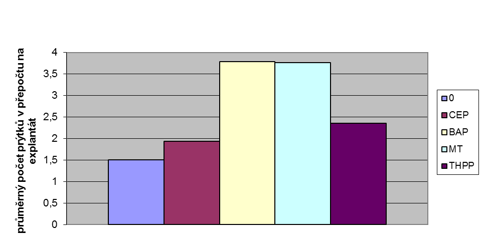 Graf 4: Výška prýtků v průběhu kultivace během 77 kultivačních dnů Graf