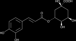 Kyselina chlorogenová - 3-kaffeoyl-chinová Chlorogenová kyselina je fenolická přírodní látka, kterou lze izolovat z plodů dvouděloţných rostlin, čímţ jeřáb bezpochyby je.