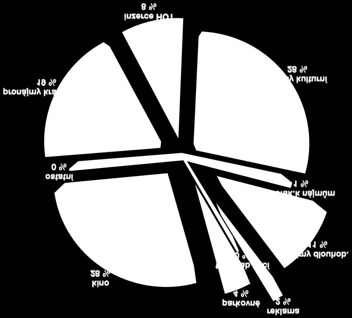 Detail rozložení výnosů z vlastní činnosti (plán 2013) služby kulturní 1500 inzerce HOT 450 pronájmy krátkodobé 1000