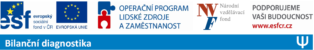 Závěrečné shrnutí průběhu a přehled výsledků projektu Bilanční diagnostika pro uchazeče o zaměstnání: výměna zahraničních zkušeností a aplikace nových poznatků do praxe úřadů práce 1.