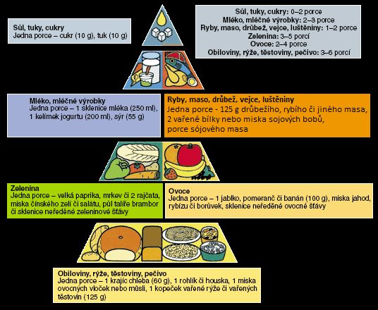 Příloha č. 1 Pyramida správné výživy Zdroj: STÁTNÍ ZDRAVOTNICKÝ ÚSTAV.