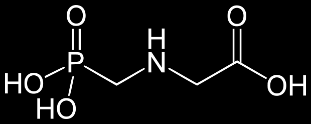 ROUNDUP Herbicidy Herbicidní skupina EPSP synthasy Firma Monsanto