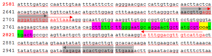 Detekce herbicid rezistentních plevelů EPSPS1 Izolace gdna - 20 vzorků (CTAB) Ošetření Rnasou, detekční PCR 2 typy primerů (Primer3, Chodová et al.