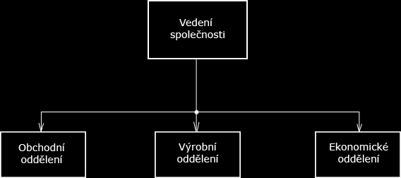 3.1.2 Organizační struktura firmy Organizační struktura firmy je rozdělena do jedné hlavní sekce a tří podsekcí (obr. 3.1).