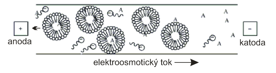 Micelární elektrokinetická chromatografie (MEKC, micellar electrokinetic chromatography) je mód kapilární elektroforézy, ve kterém se uplatňuje separační mechanismus na základě rozdělování