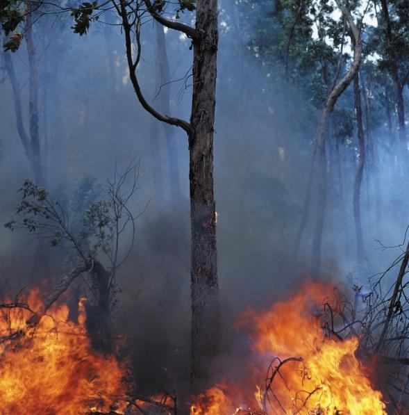 strong currents vocabulary hot sun storm Can you name some of the natural disasters?