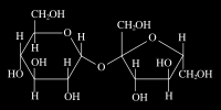 Vinná kyselina 4.30 (s) Glutamová kyselina 2.05 (m) 2.13 (m) 2.42 (t podobný) 3.69 (dd) Acetát Adenin 1.9 (s) 8.19 (s) 8.22 (s) Cholin 3.2 (s) 3.4 4.0 Sacharóza! 5.42 (d, 3.8)! 4.22 (d, 8.