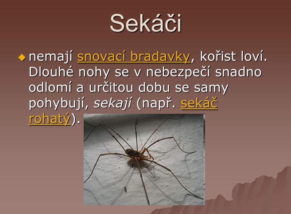 Dlouhé nohy se v nebezpečí snadno