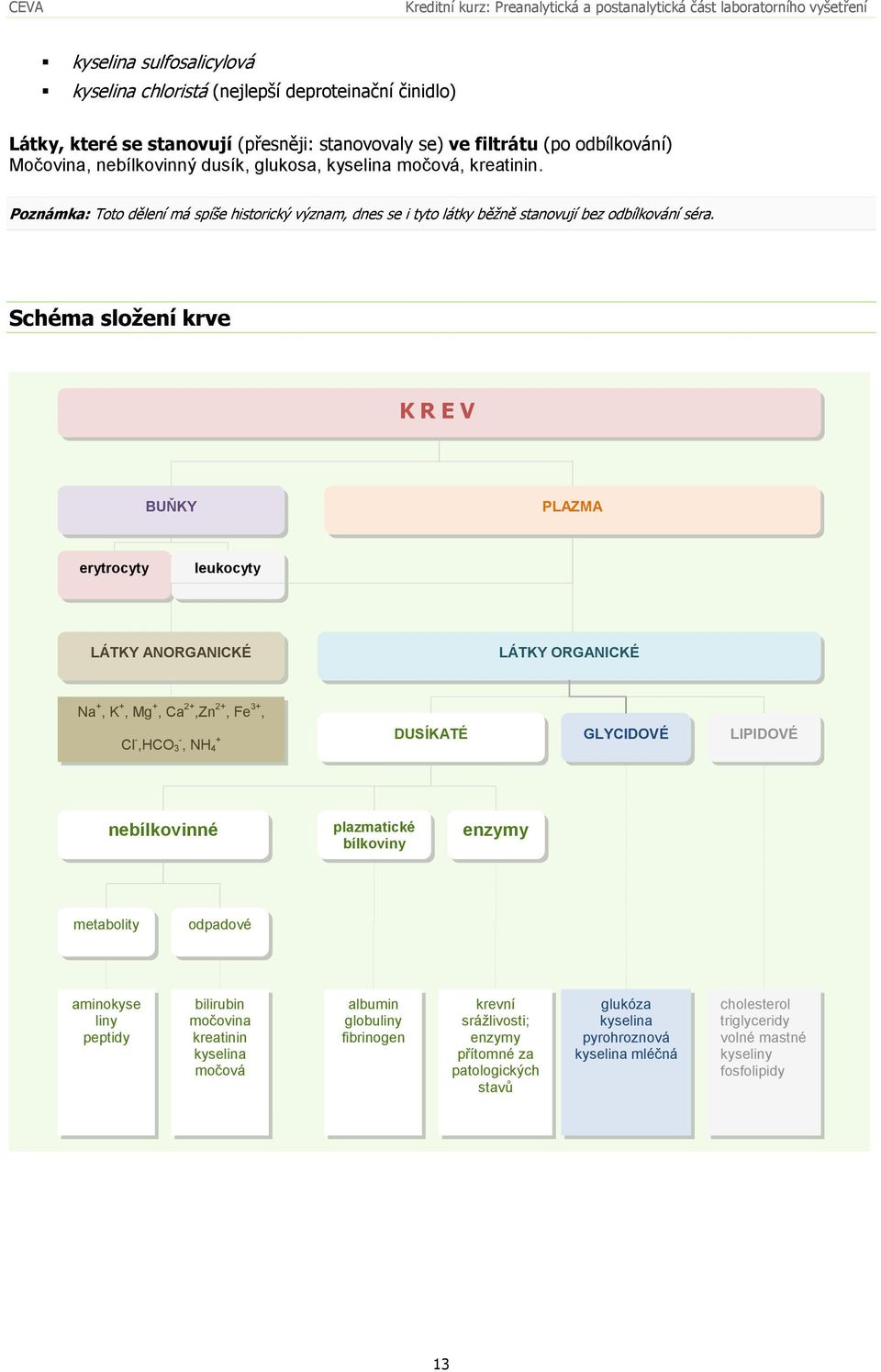 Schéma složení krve K R E V BUŇKY PLAZMA erytrocyty leukocyty LÁTKY ANORGANICKÉ LÁTKY ORGANICKÉ Na +, K +, Mg +, Ca 2+,Zn 2+, Fe 3+, Cl -,HCO 3 -, NH 4 + DUSÍKATÉ GLYCIDOVÉ LIPIDOVÉ nebílkovinné