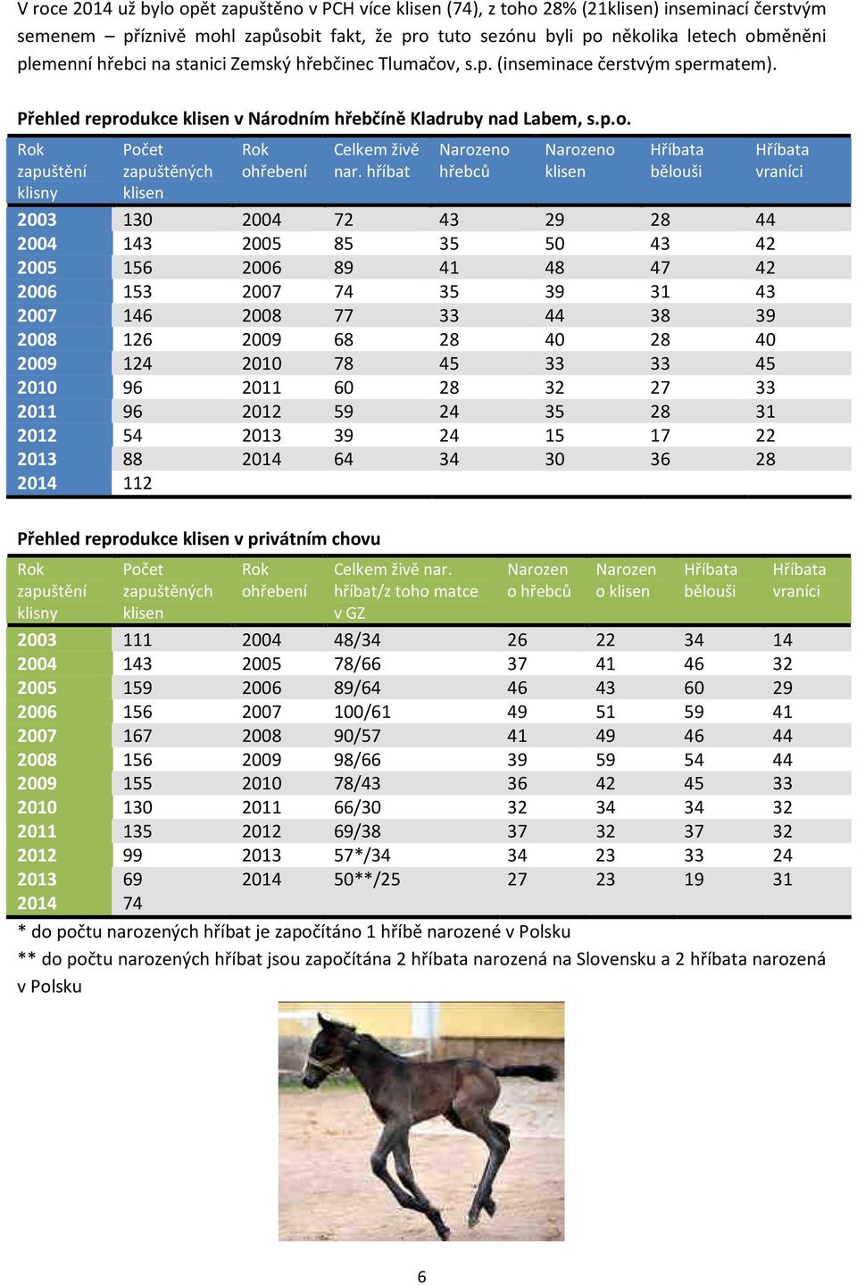 hříbat Narozeno hřebců Narozeno klisen Hříbata bělouši 2003 130 2004 72 43 29 28 44 2004 143 2005 85 35 50 43 42 2005 156 2006 89 41 48 47 42 2006 153 2007 74 35 39 31 43 2007 146 2008 77 33 44 38 39