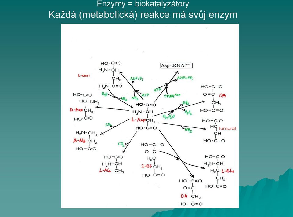 Každá