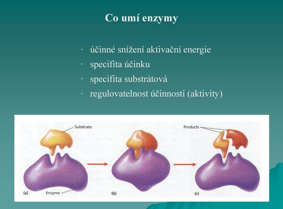 účinku specifita substrátová