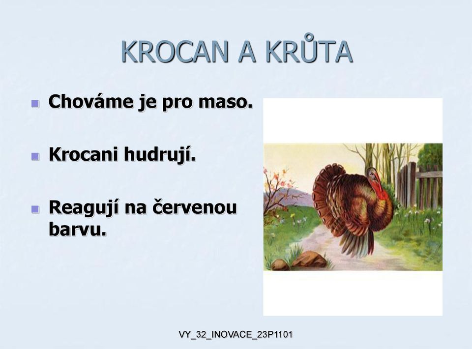 Krocani hudrují.