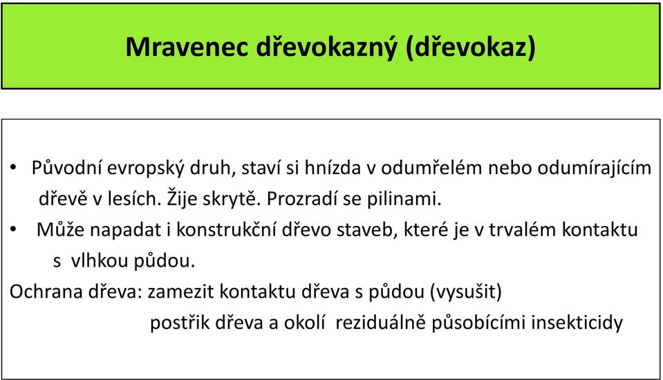 Může napadat i konstrukční dřevo staveb, které je v trvalém kontaktu s vlhkou půdou.