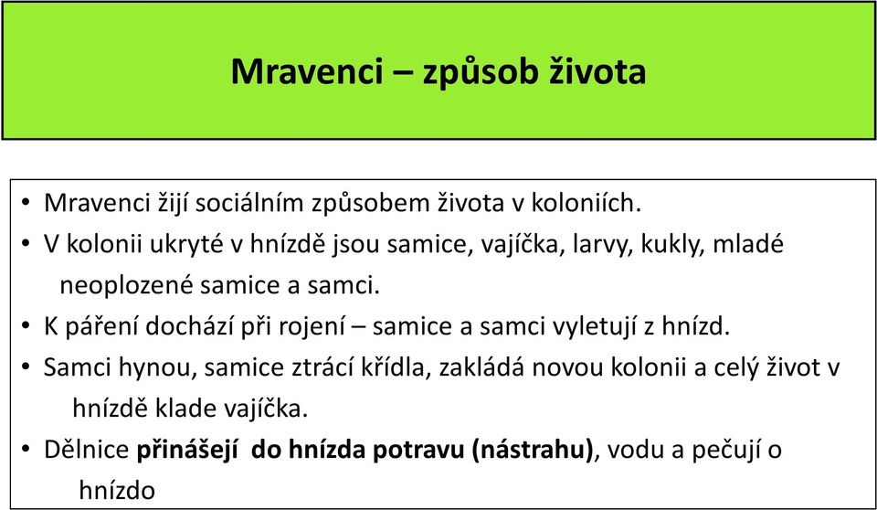 K páření dochází při rojení samice a samci vyletují z hnízd.