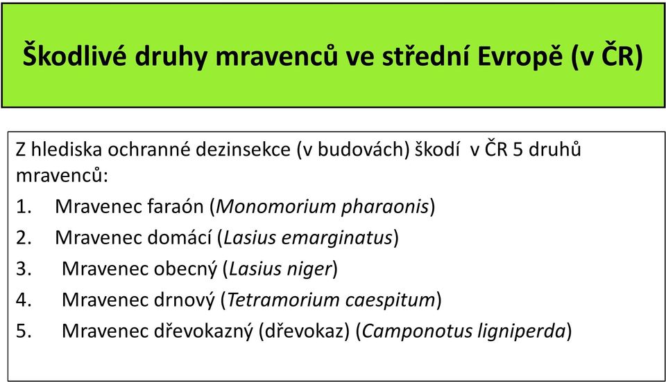 Mravenec domácí (Lasius emarginatus) 3. Mravenec obecný (Lasius niger) 4.