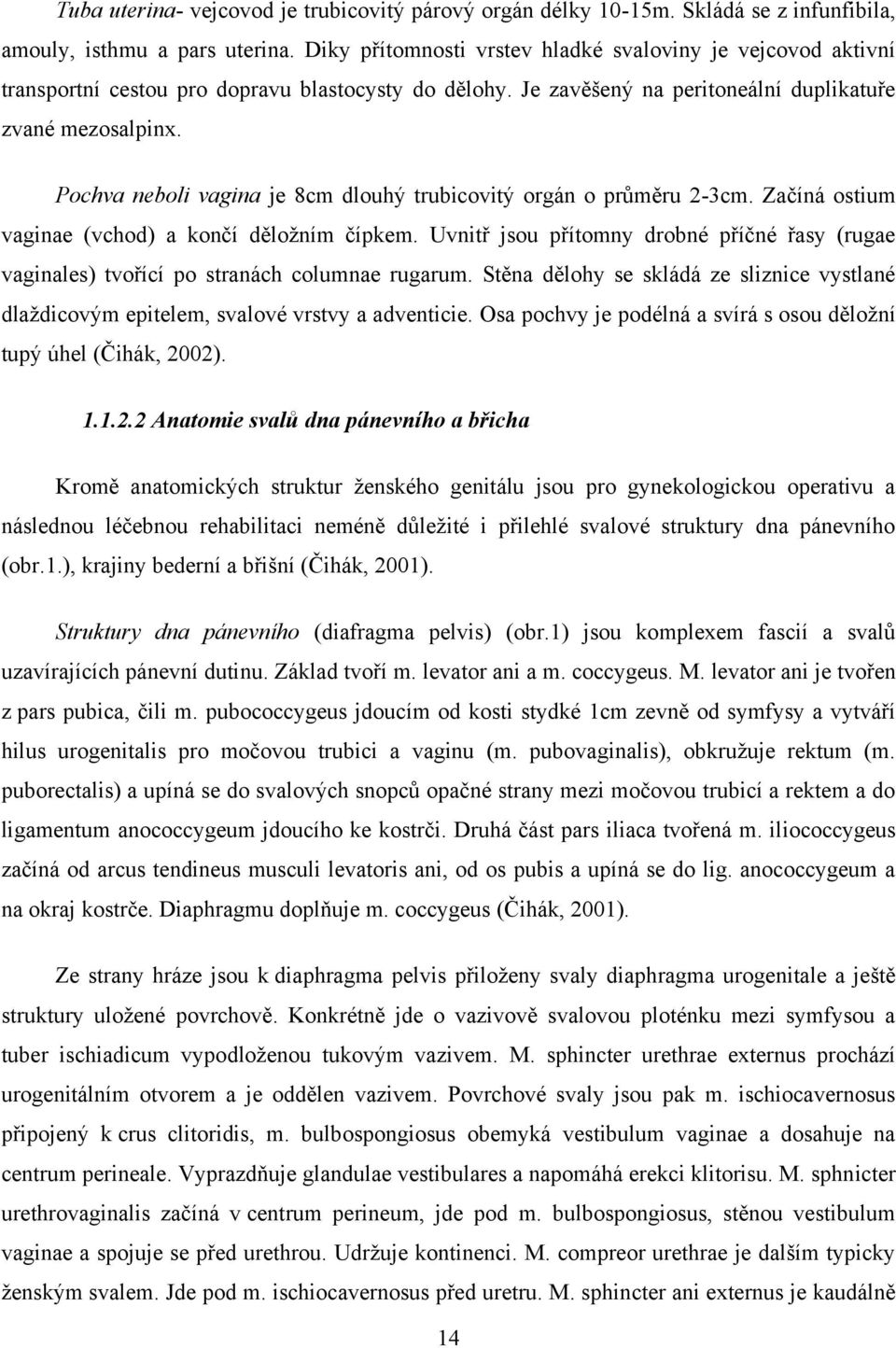 Pochva neboli vagina je 8cm dlouhý trubicovitý orgán o průměru 2-3cm. Začíná ostium vaginae (vchod) a končí děloţním čípkem.