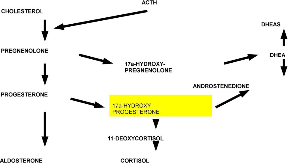 ANDROSTENEDIONE PROGESTERONE