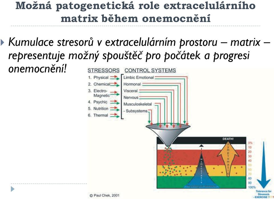 extracelulárním prostoru matrix representuje