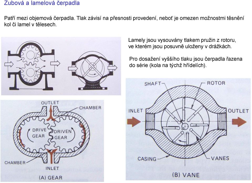 lamel v tělesech.