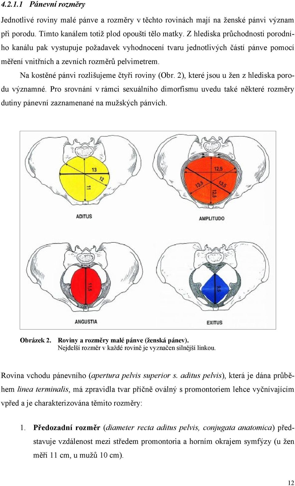 Na kostěné pánvi rozlišujeme čtyři roviny (Obr. 2), které jsou u žen z hlediska porodu významné.