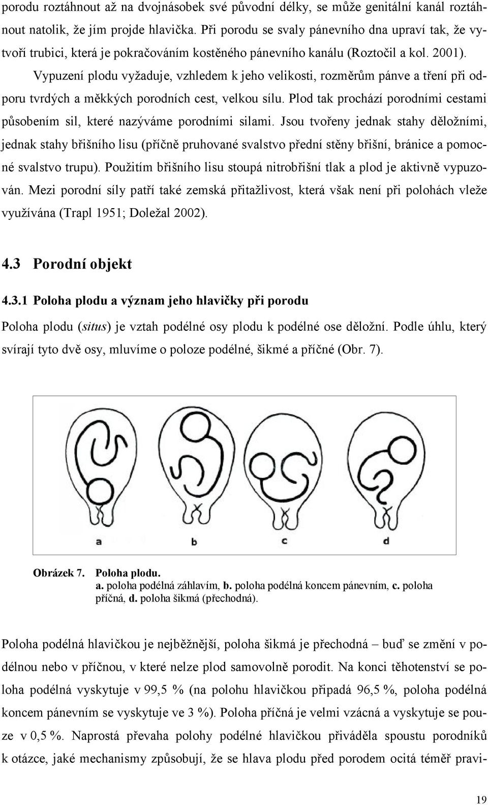 Vypuzení plodu vyžaduje, vzhledem k jeho velikosti, rozměrům pánve a tření při odporu tvrdých a měkkých porodních cest, velkou sílu.