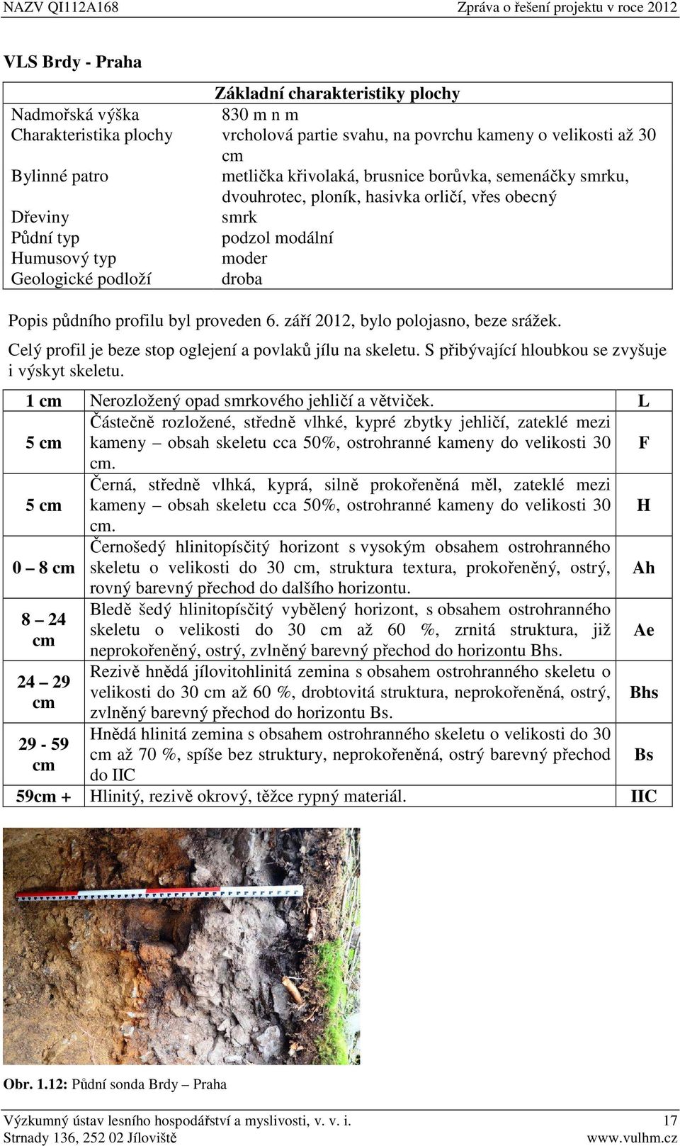 6. září 2012, bylo polojasno, beze srážek. Celý profil je beze stop oglejení a povlaků jílu na skeletu. S přibývající hloubkou se zvyšuje i výskyt skeletu.