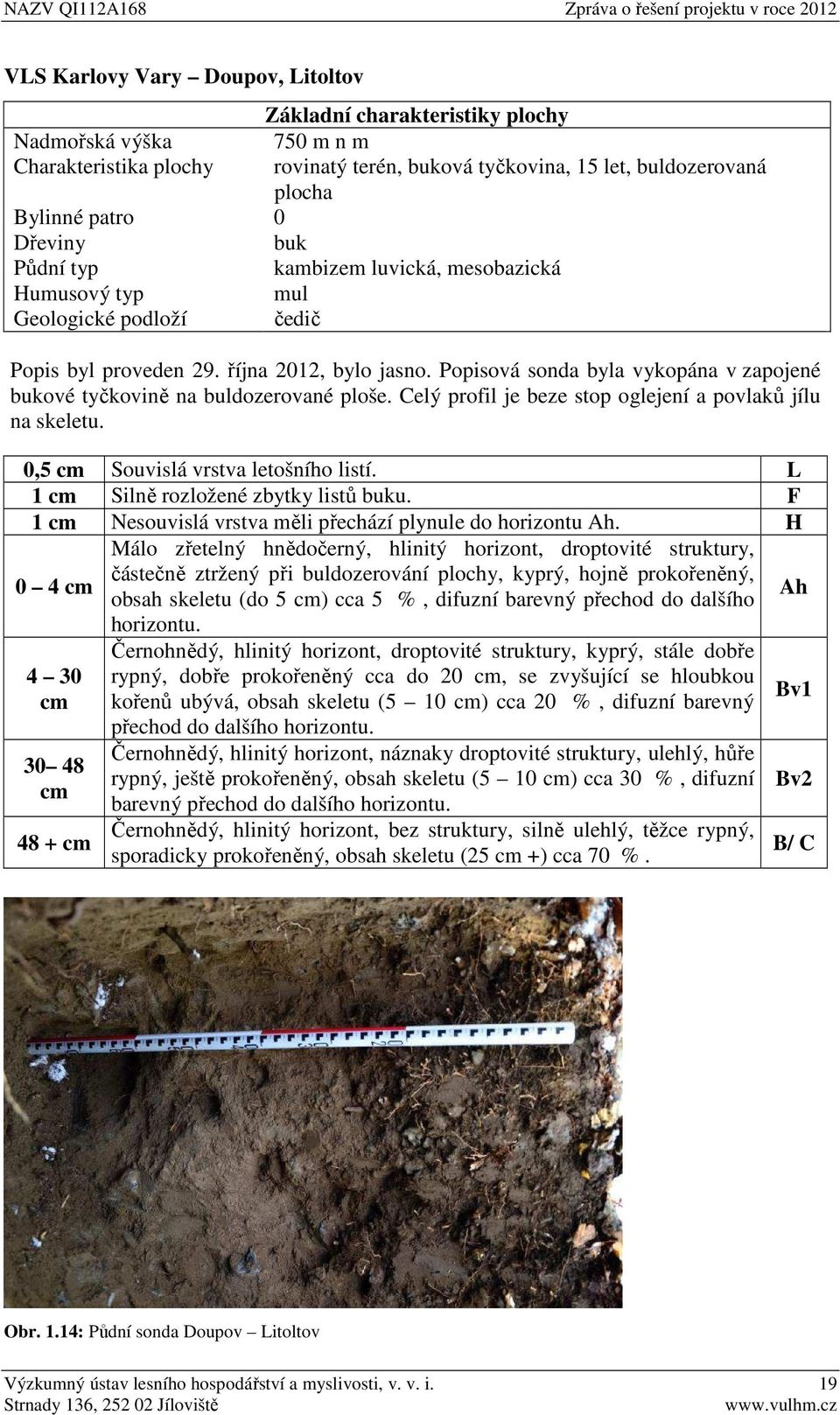 Popisová sonda byla vykopána v zapojené bukové tyčkovině na buldozerované ploše. Celý profil je beze stop oglejení a povlaků jílu na skeletu. 0,5 cm Souvislá vrstva letošního listí.