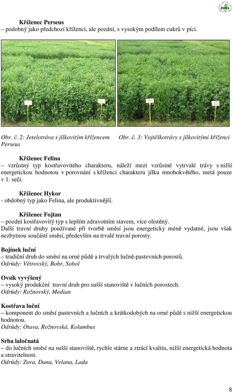 3: Vojtěškotrávy s jílkovitými kříženci Kříženec Felina vzrůstný typ kostřavovitého charakteru, náleží mezi vzrůstné vytrvalé trávy s nižší energetickou hodnotou v porovnání s kříženci charakteru