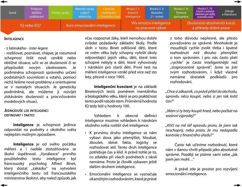 zkušeností či se přizpůsobit novým okolnostem. Je podmíněna schopností správného určení podstatných souvislostí a vztahů, pomocí nichž řešíme nové problémy a orientujeme se v nastalých situacích.